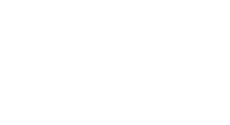 Metallix Logo